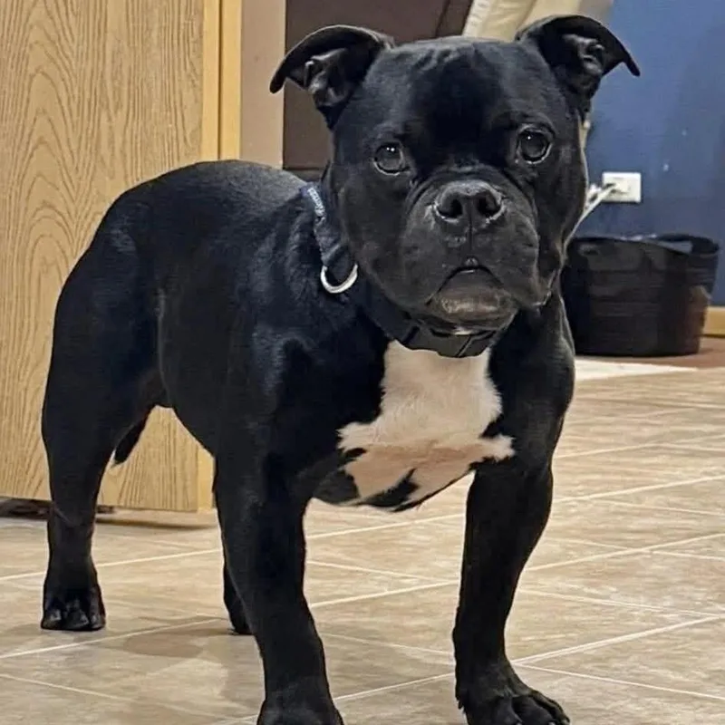 Lil Smokie thumbnail 4