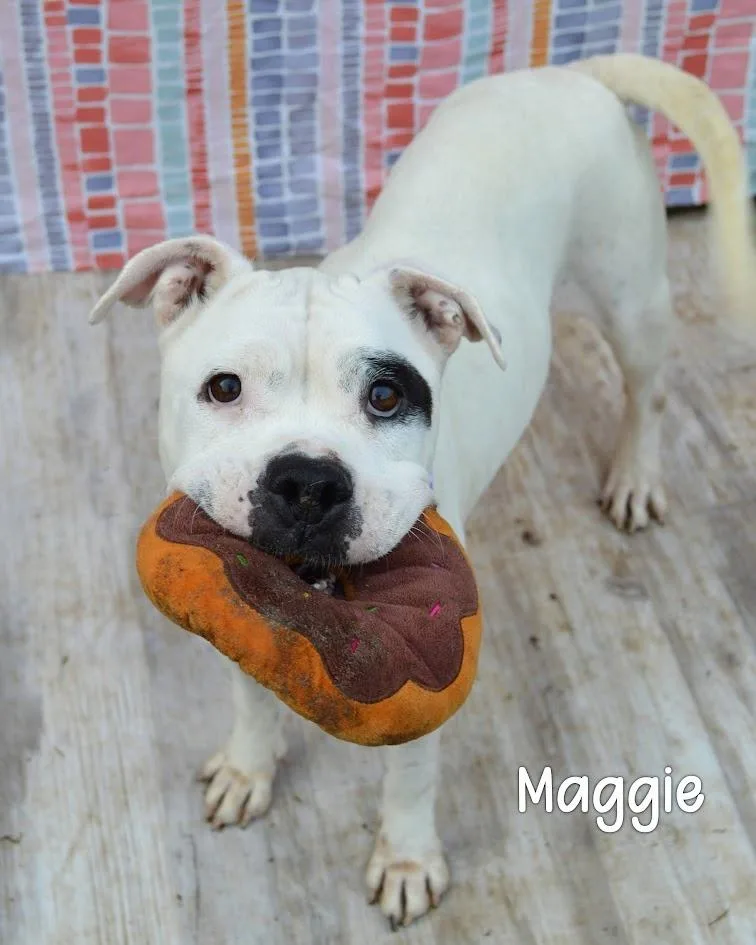 Maggie thumbnail 2