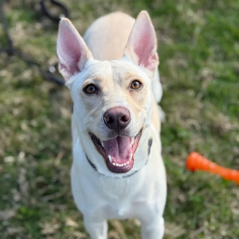 Haley Mae thumbnail 2