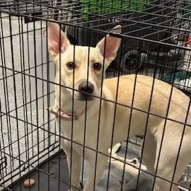 Haley Mae thumbnail 3