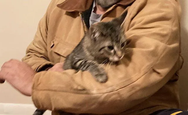 Maze Bonded With Leaf