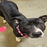 Mila Mae thumbnail 2