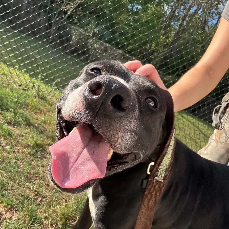 Mila Mae thumbnail 3