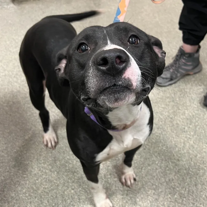 Mila Mae thumbnail 4