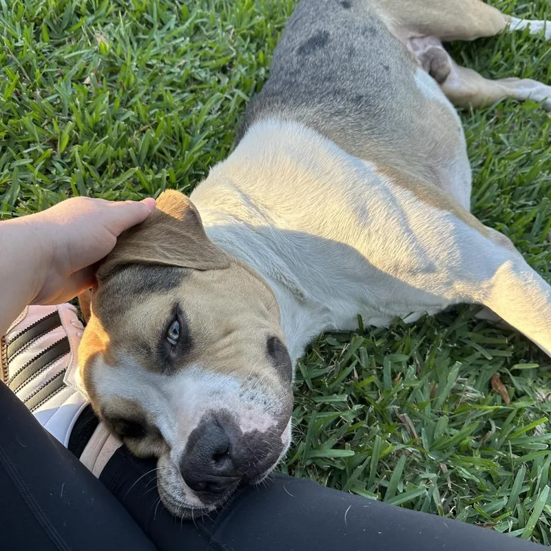 Benjamin thumbnail 2