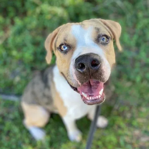 Benjamin thumbnail 3