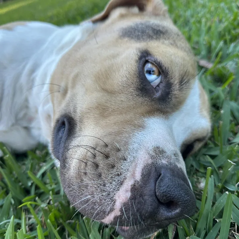 Benjamin thumbnail 4