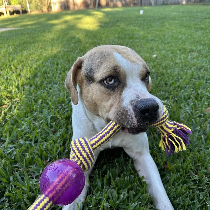 Benjamin thumbnail 5