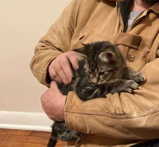 Leaf Bonded With Maze thumbnail 3