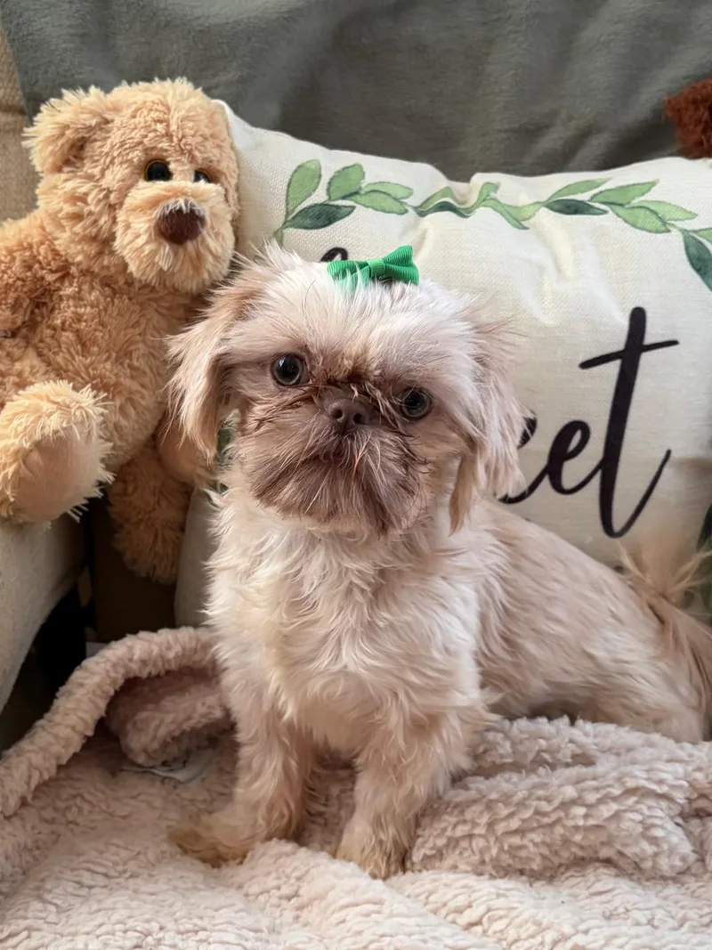 Molly In Rhode Island