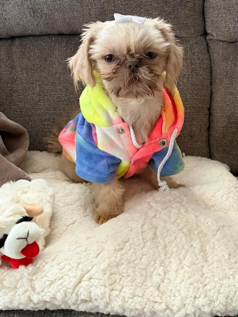 Molly In Rhode Island thumbnail 2