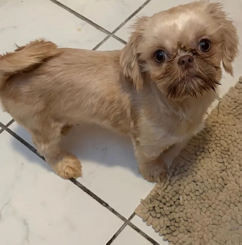 Molly In Rhode Island thumbnail 3