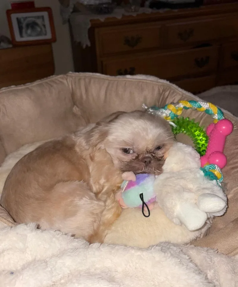 Molly In Rhode Island thumbnail 4