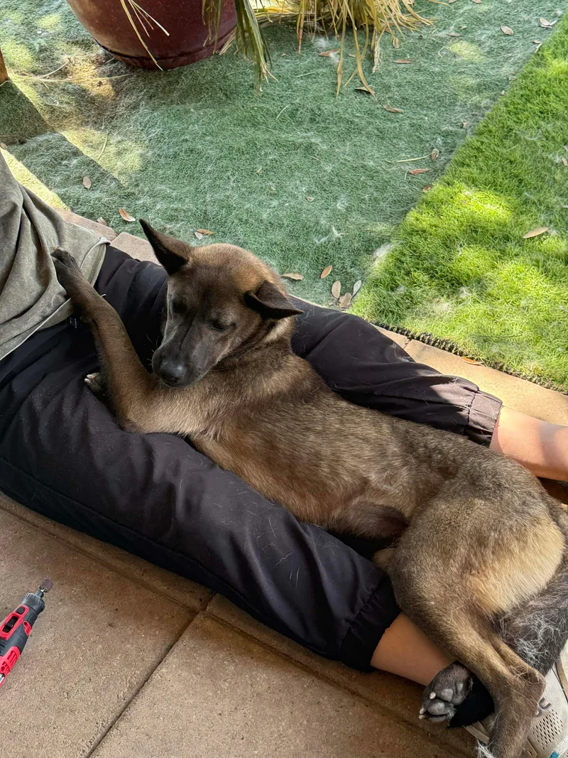 Delo Girl thumbnail 3