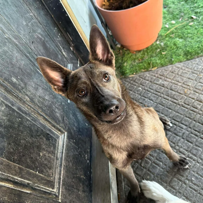 Delo Girl thumbnail 4