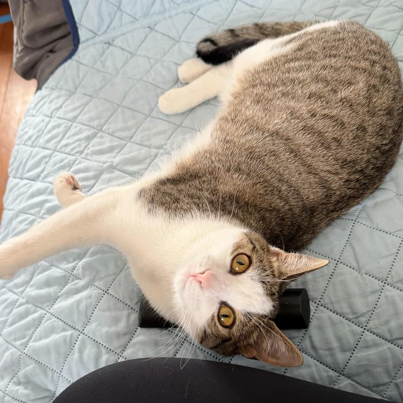 Xena Warrior Princess