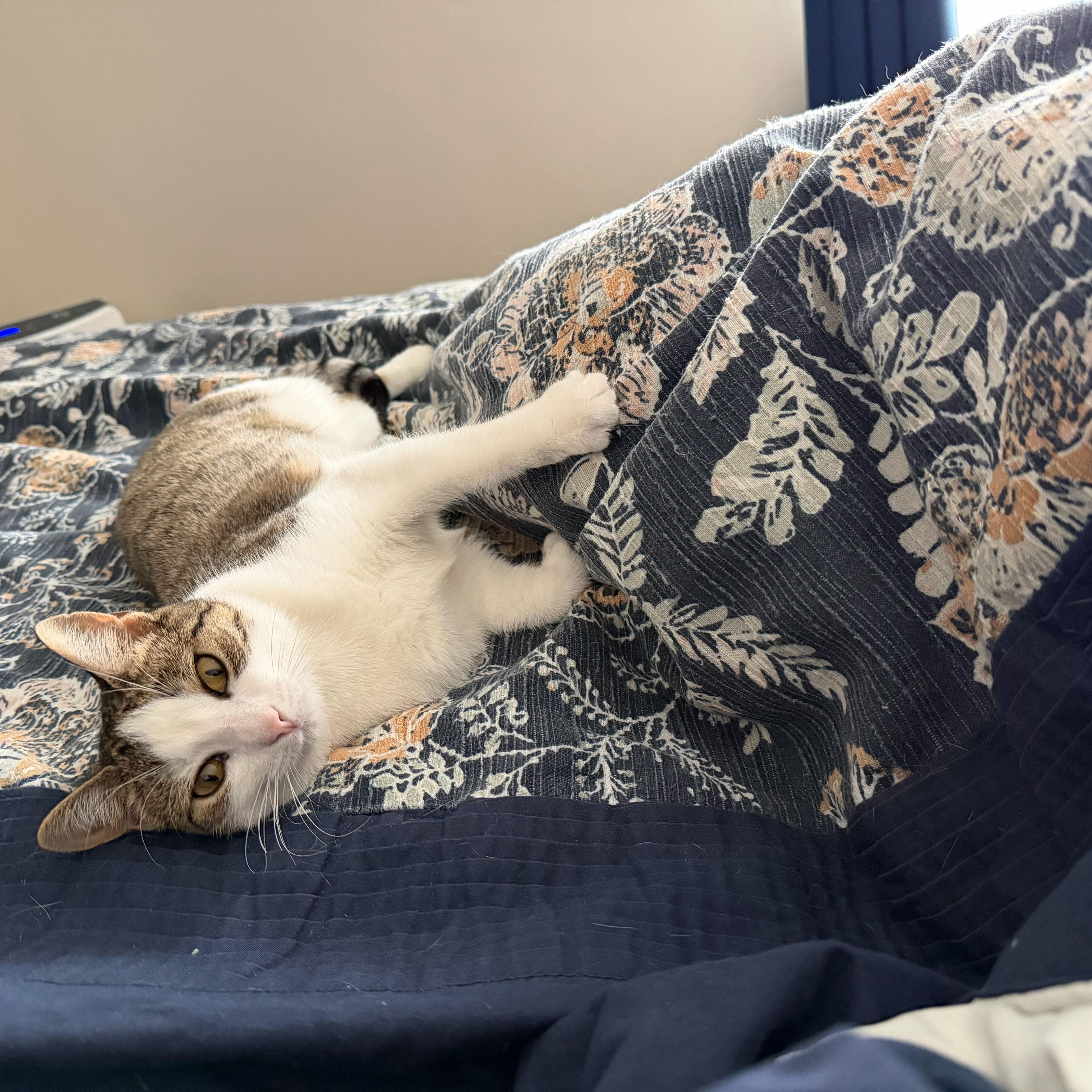 Xena Warrior Princess thumbnail 3