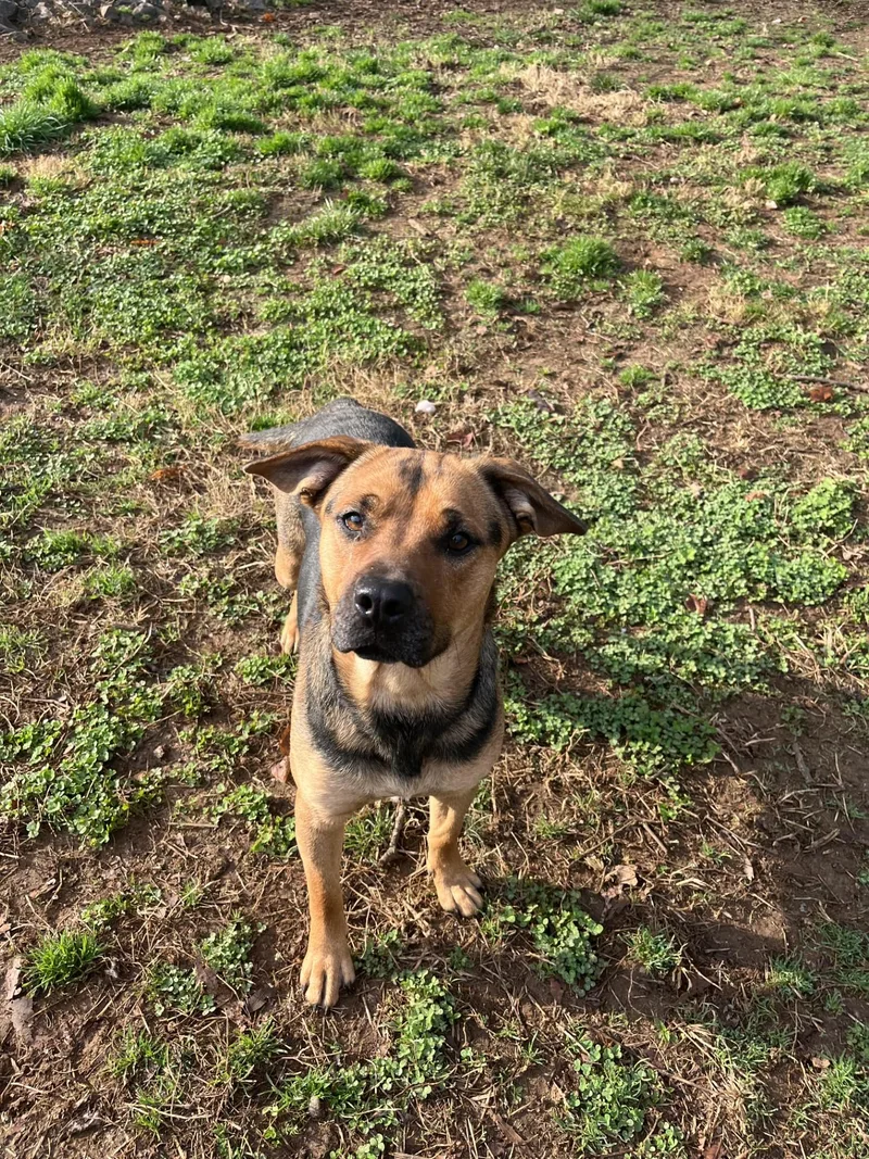 Sweetcakes thumbnail 2