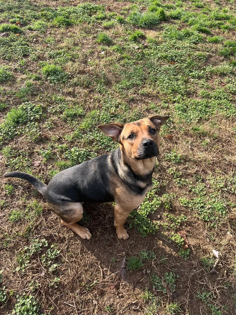 Sweetcakes thumbnail 3