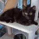 Zz Brooke ~ Courtesy thumbnail 2