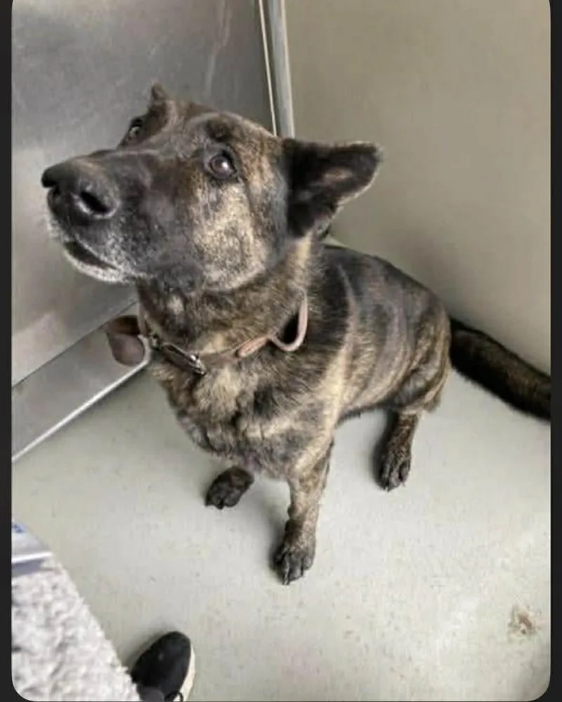 Ralphie  Located In thumbnail 3