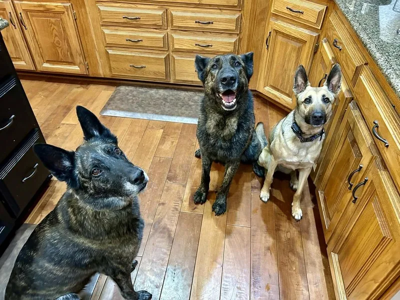 Ralphie  Located In thumbnail 4