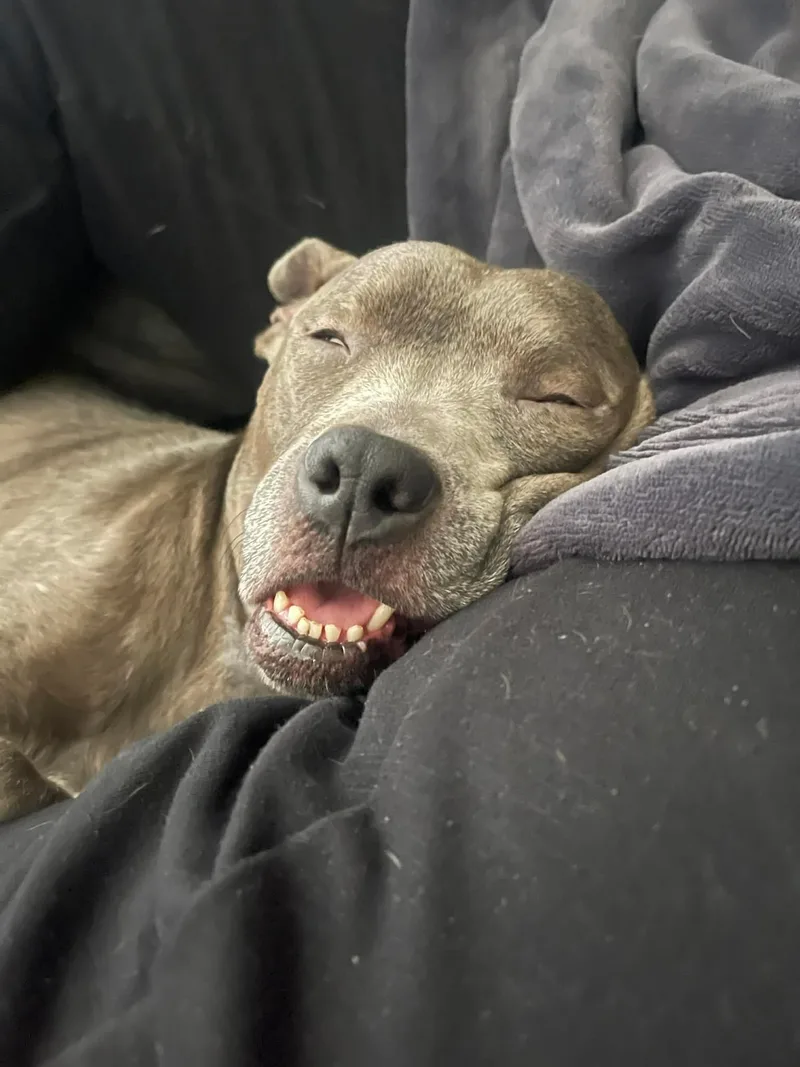 Gracie Lou thumbnail 5