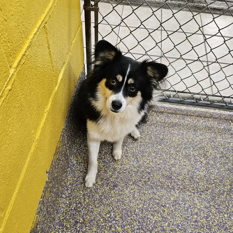 Fireplace thumbnail 2