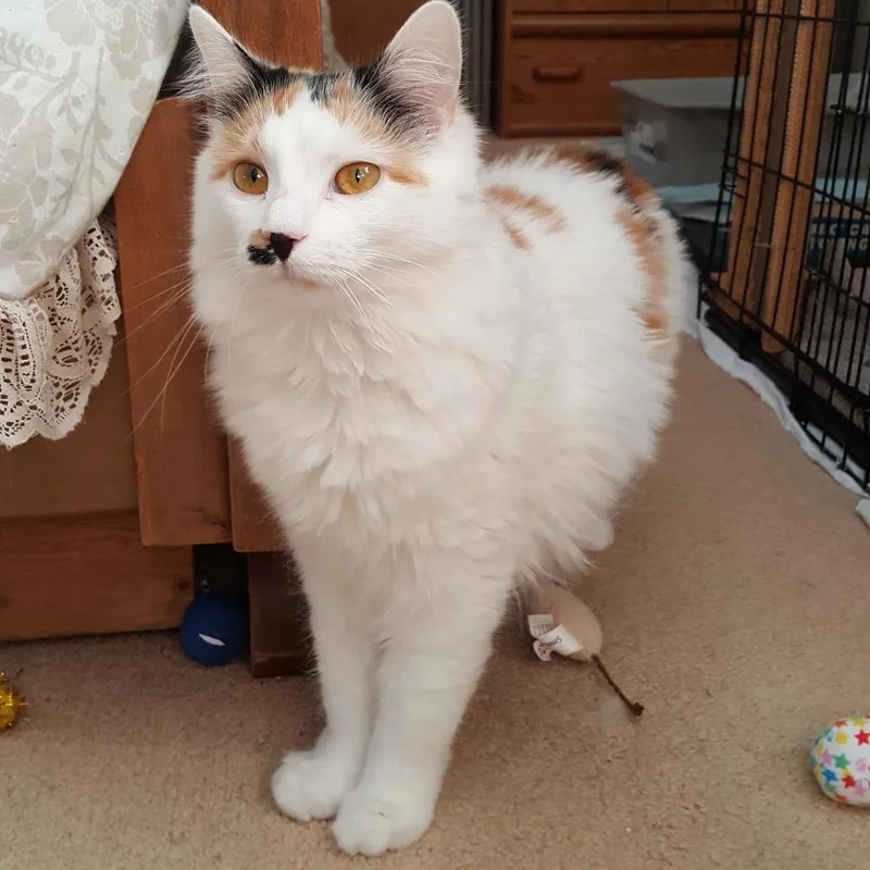 Lily & Carly thumbnail 2