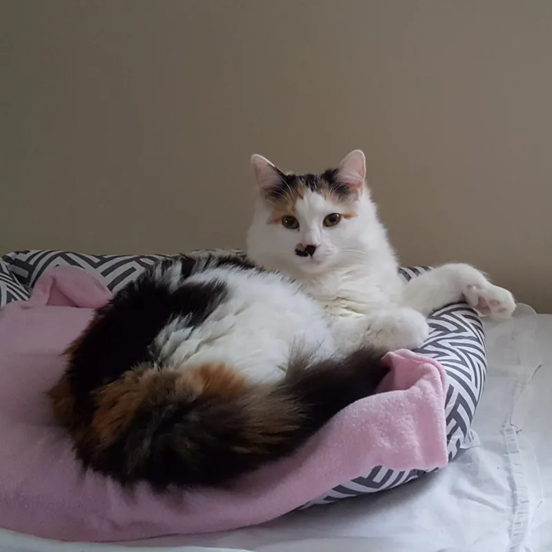 Lily & Carly thumbnail 3