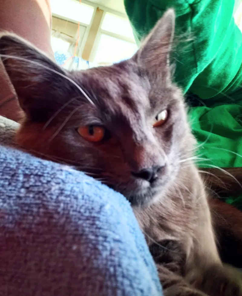 Lyonesse thumbnail 2