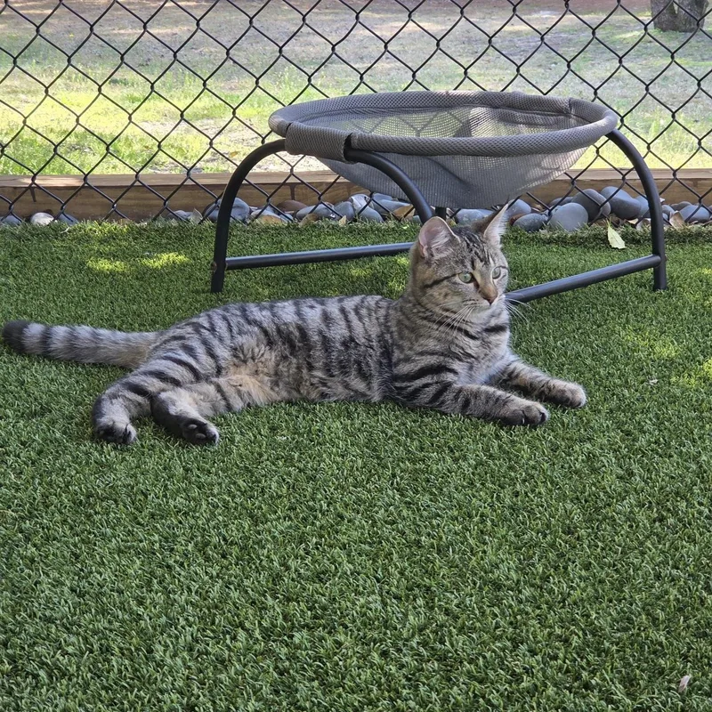 Clementine thumbnail 2