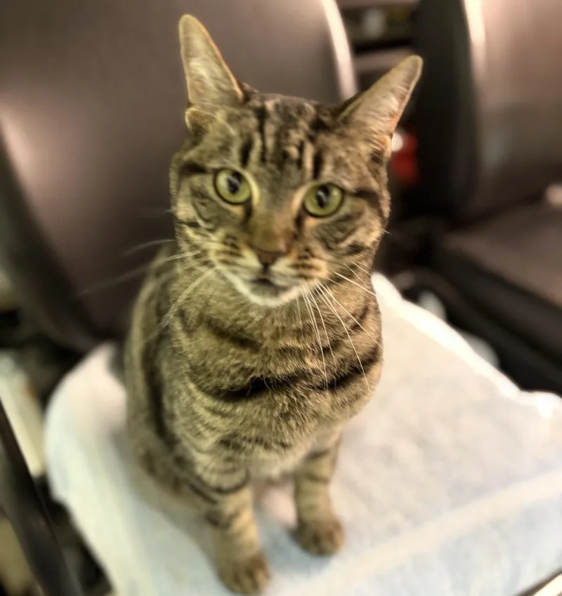 Itty Bitty thumbnail 2