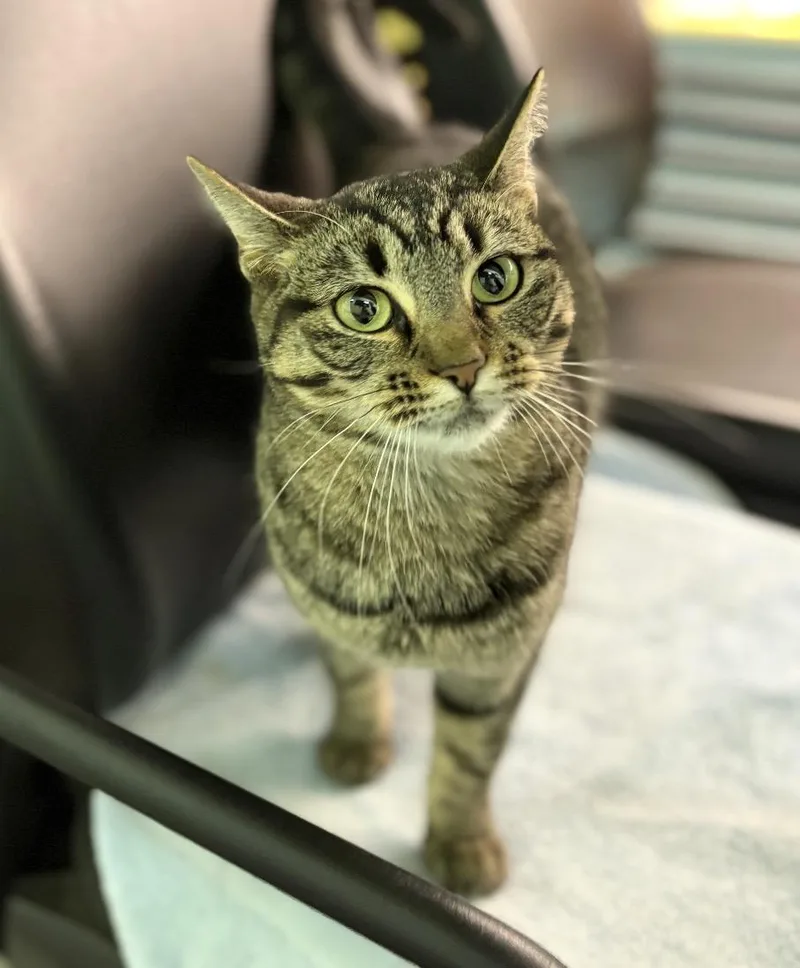 Itty Bitty thumbnail 3