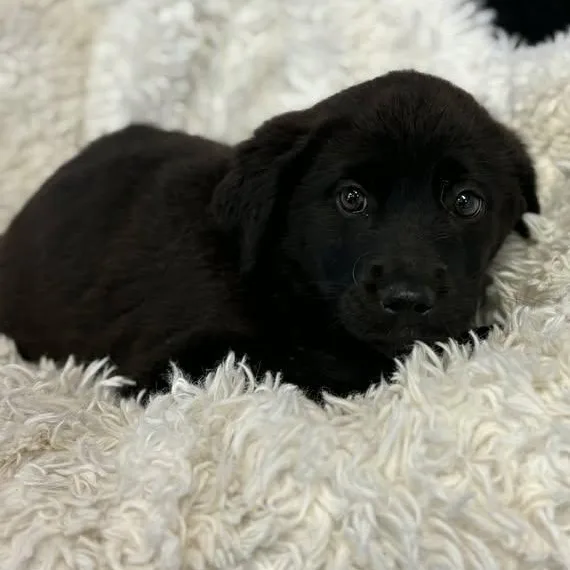 Sprinkle thumbnail 2