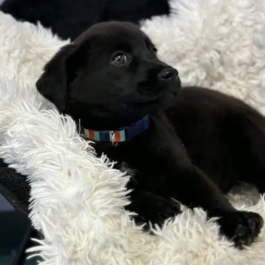 Sprinkle thumbnail 3