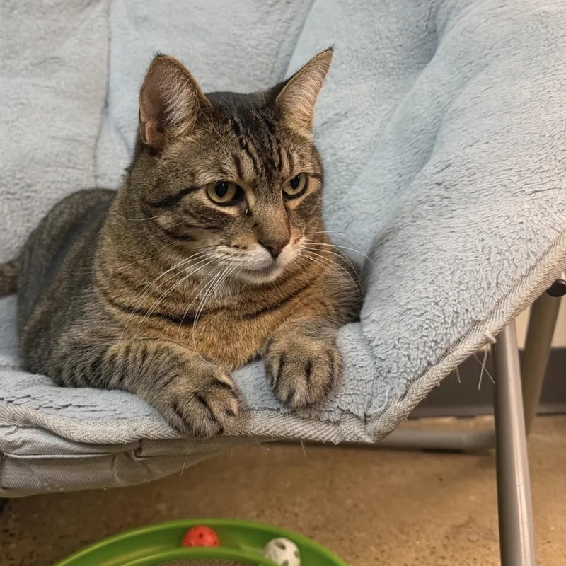 Lil Timmy thumbnail 4