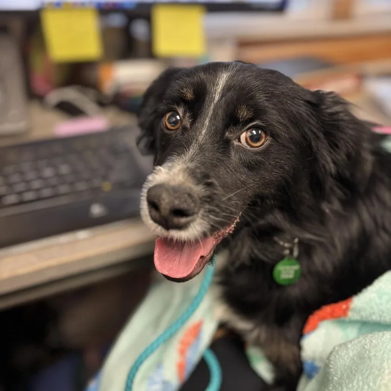 Queenie Bean thumbnail 2