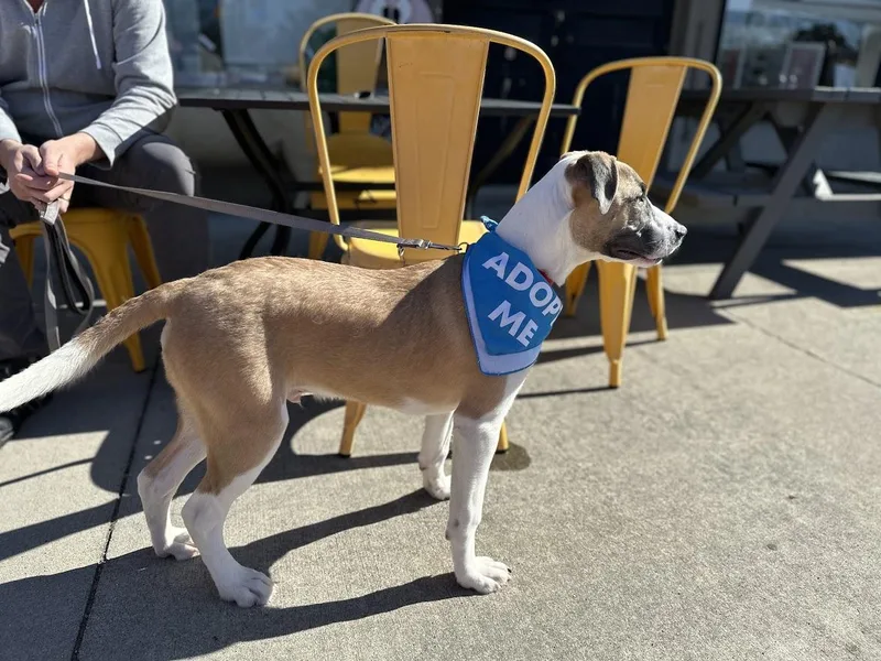 Jack Frost thumbnail 2