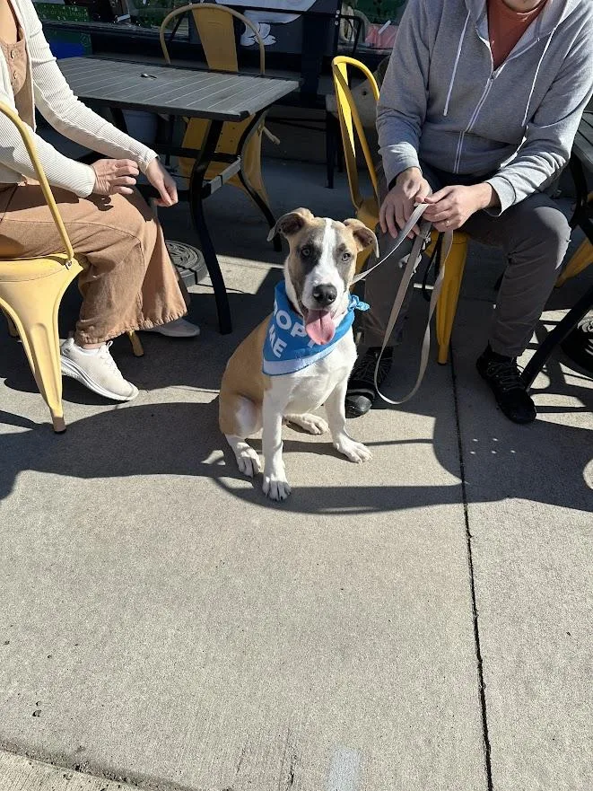 Jack Frost thumbnail 3