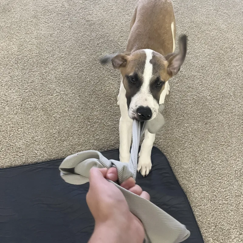 Jack Frost thumbnail 5