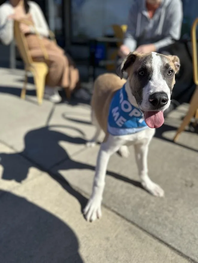 Jack Frost thumbnail 6