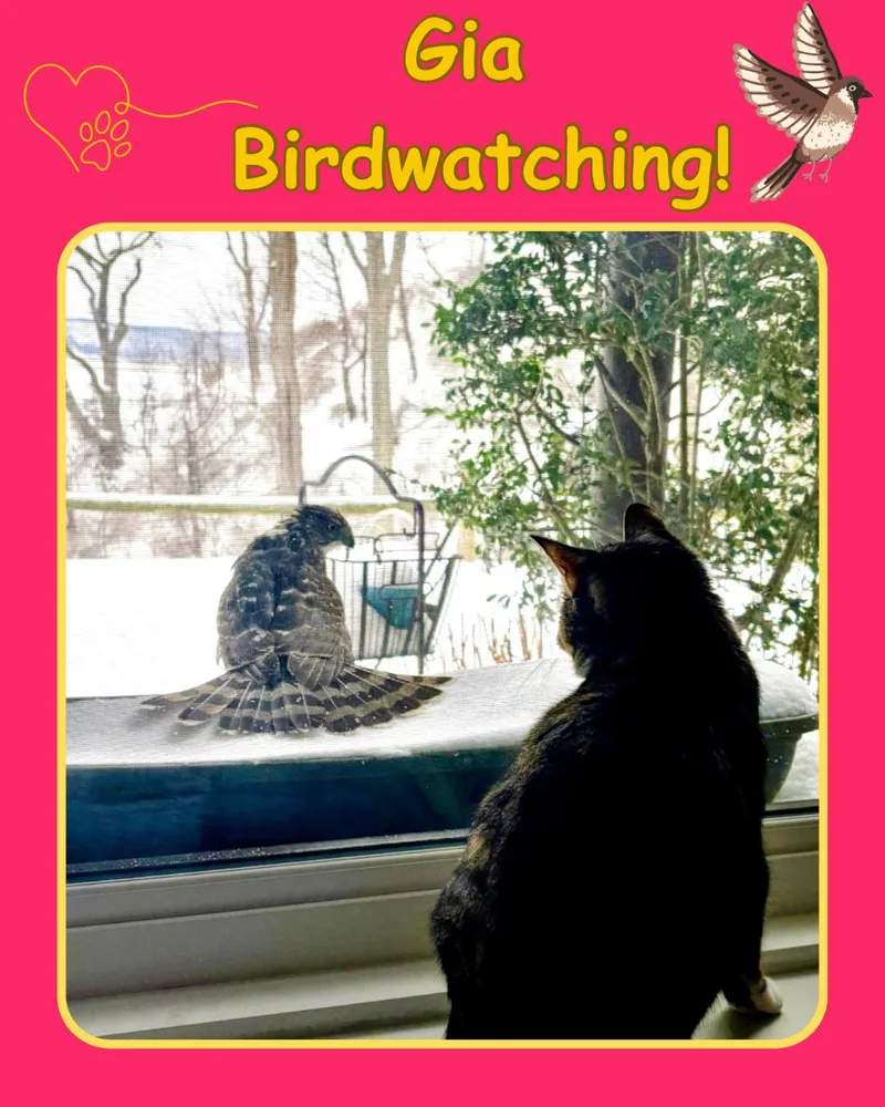 Gia  One Eyed thumbnail 2