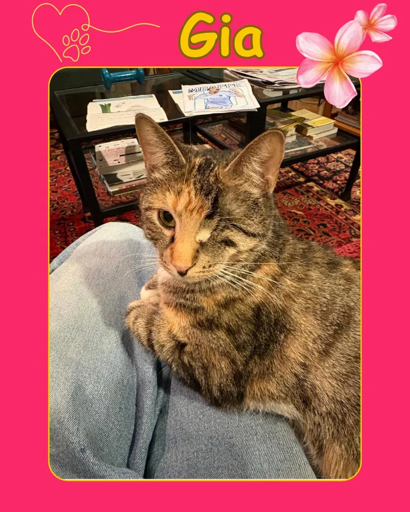 Gia  One Eyed thumbnail 3