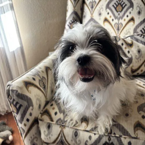 Mike Morgan thumbnail 2