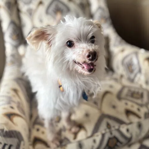 Touchdown thumbnail 2