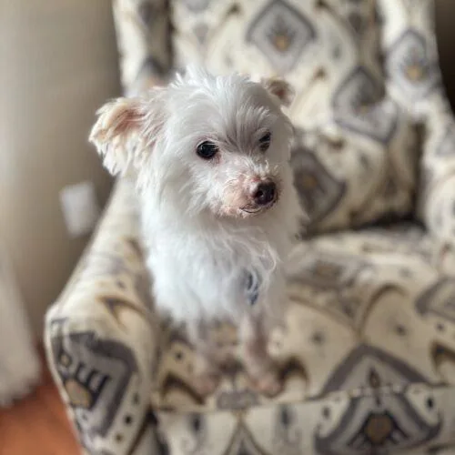 Touchdown thumbnail 3