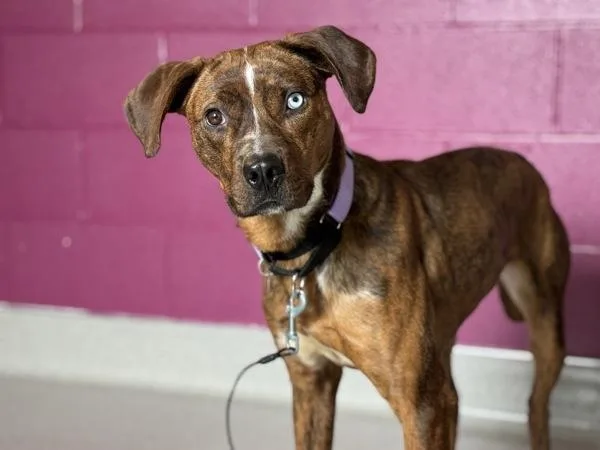 Surprise thumbnail 2