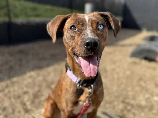 Surprise thumbnail 3