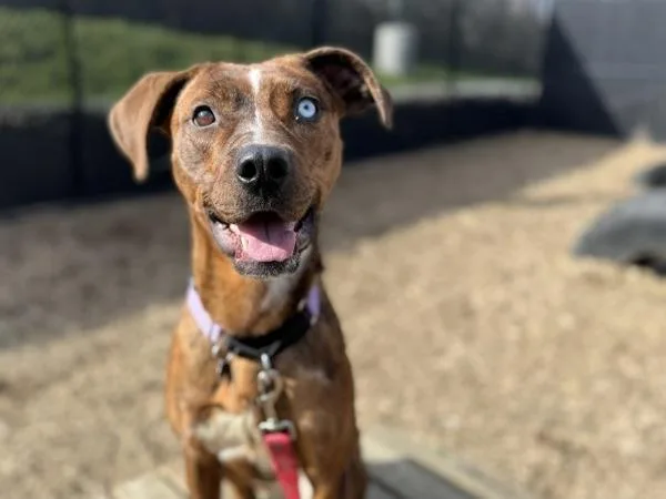 Surprise thumbnail 4